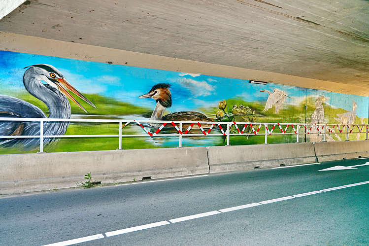 Graffiti-Art in viaduct/tunneltje onder de A12_13